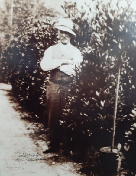 Jules T'Hooft